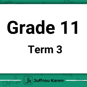 Grade 11 Physical Science - Term 3